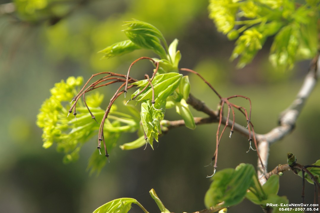 05467 - An afternoon walk at ELM - testing out the new polarizer